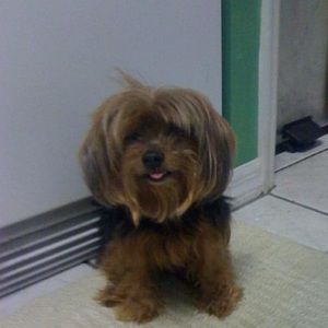 Meet your Posher, Nikki